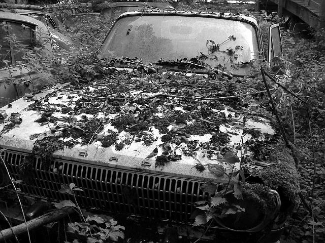 Autofriedhof - 197.JPG - Historischer Autofriedhof,    Gürbetal (CH)